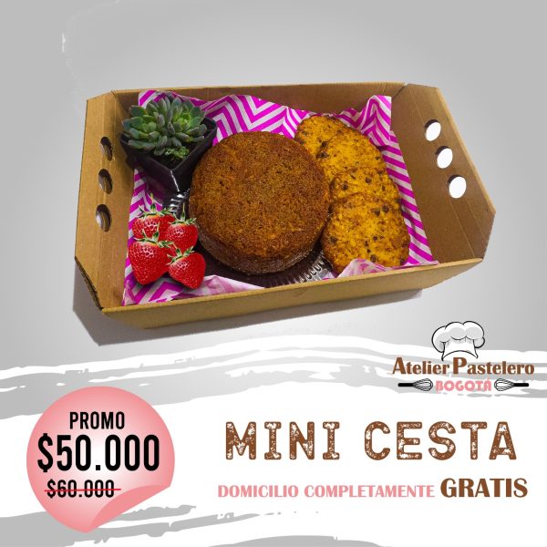 Mini cesta